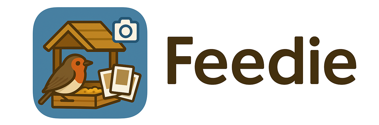 Feedie app banner